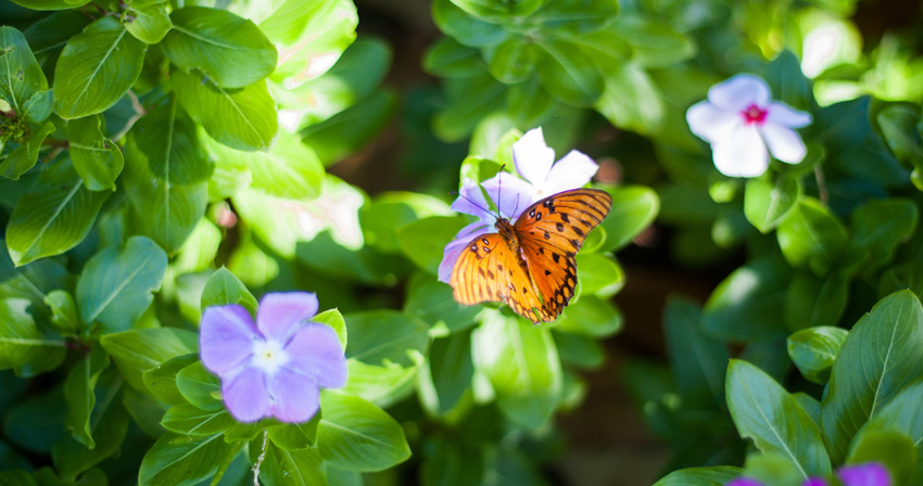 11 Things You Should Do This Spring in Ann Arbor